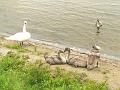 06 08 07 Miedwie_06